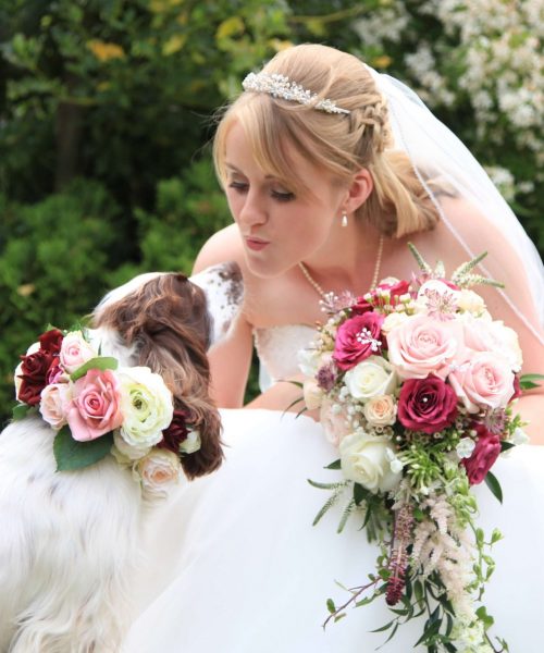 E.-Bride-&-floral-dog-collar-Larkspur-Floral-Design-Florist-Cambridge-UK