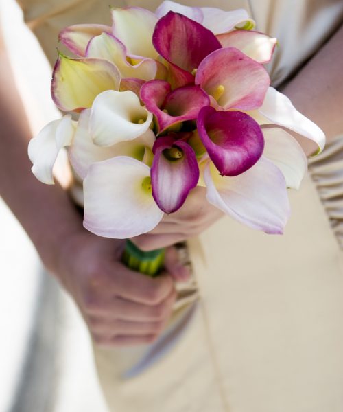 calla- lily bouquet-Larkspur-floral-design-Cambridge